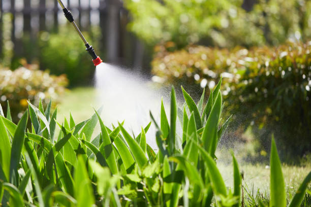 24/7 Emergency Mosquito Control experts in Merkel, TX