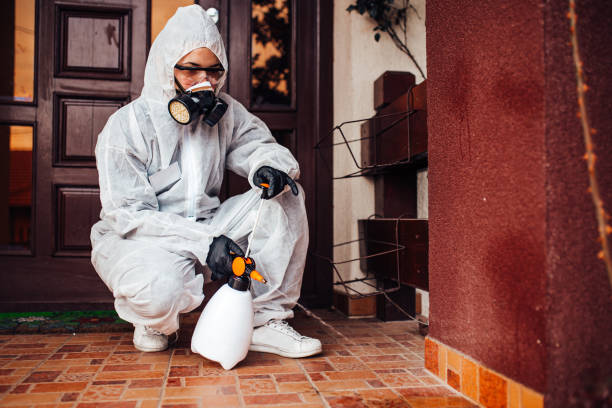 Reliable Mosquito Control contractor in Merkel, TX by Show Me Pest Control